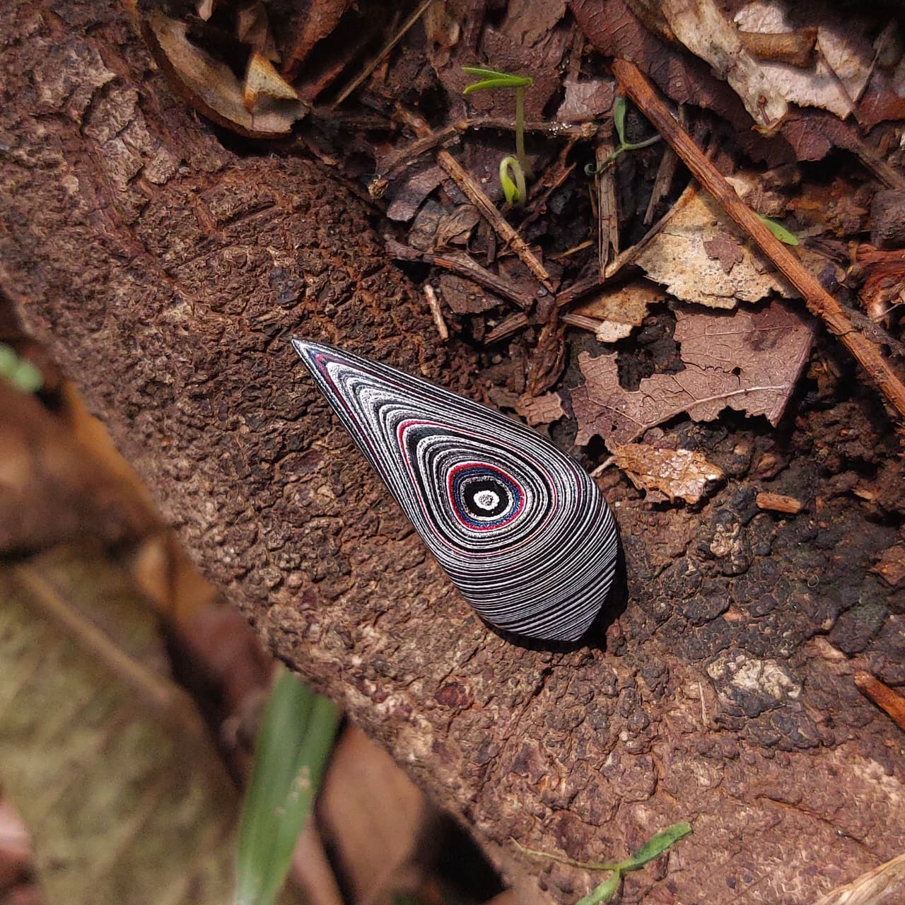 FORDITE — FORDITE from USA, view 1