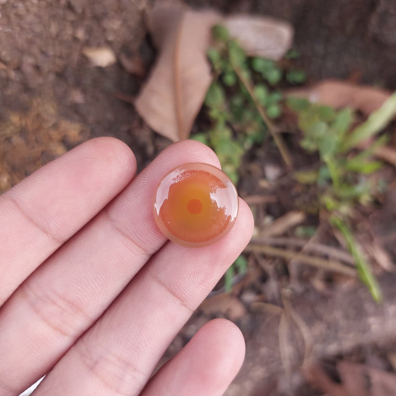 SUMATRAN AGATE  – Red Circle — SUMATRAN AGATE from INDONESIA - SUMATRA ISLAND, view 1