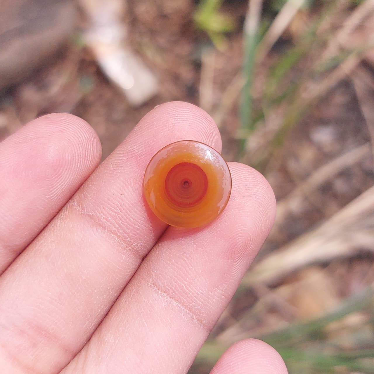 RAINBOW AGATE — RAINBOW AGATE from INDONESIA - SUMATRA ISLAND, view 1